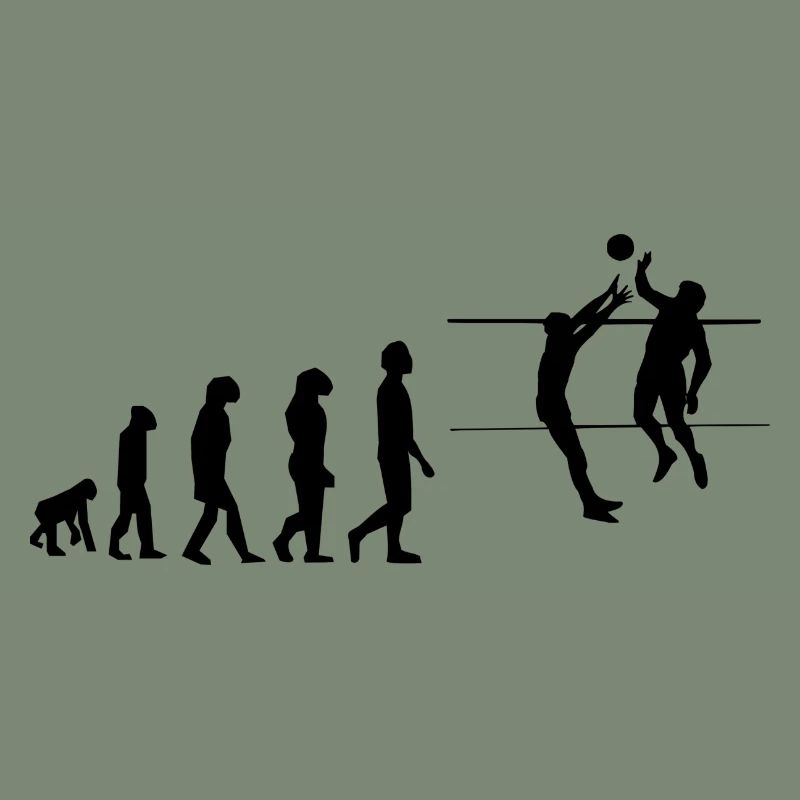 Volley évolution