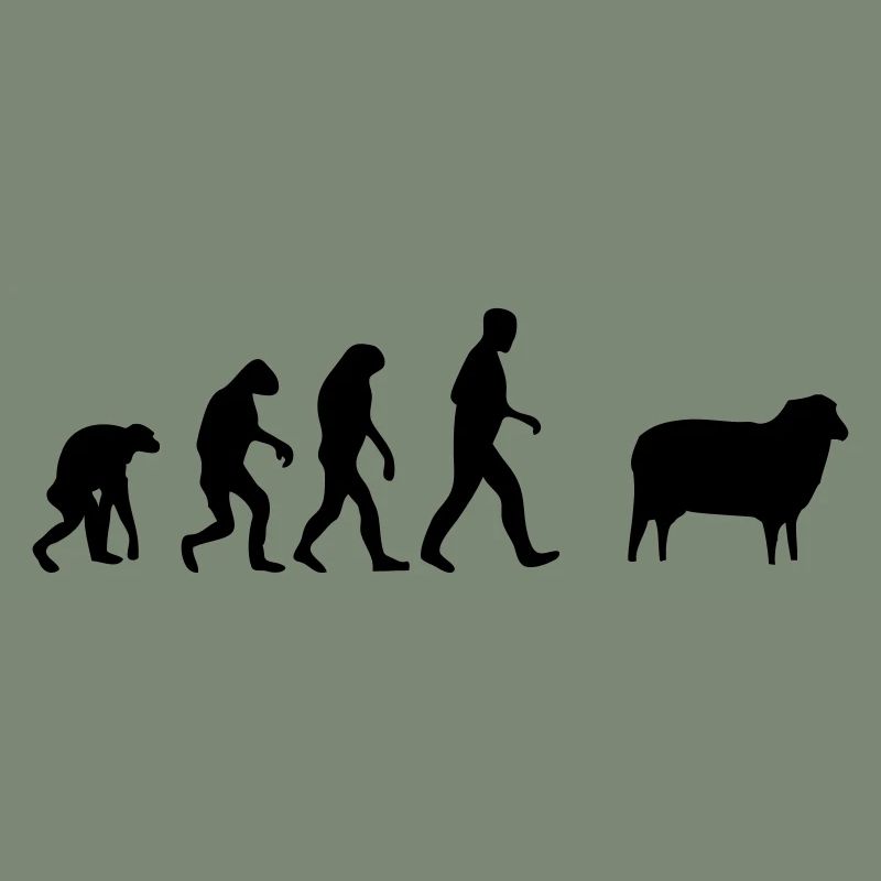 mouton evolution