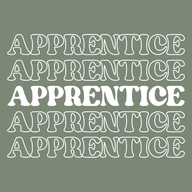 Apprentice Trainee Apprentice Novice Learner
