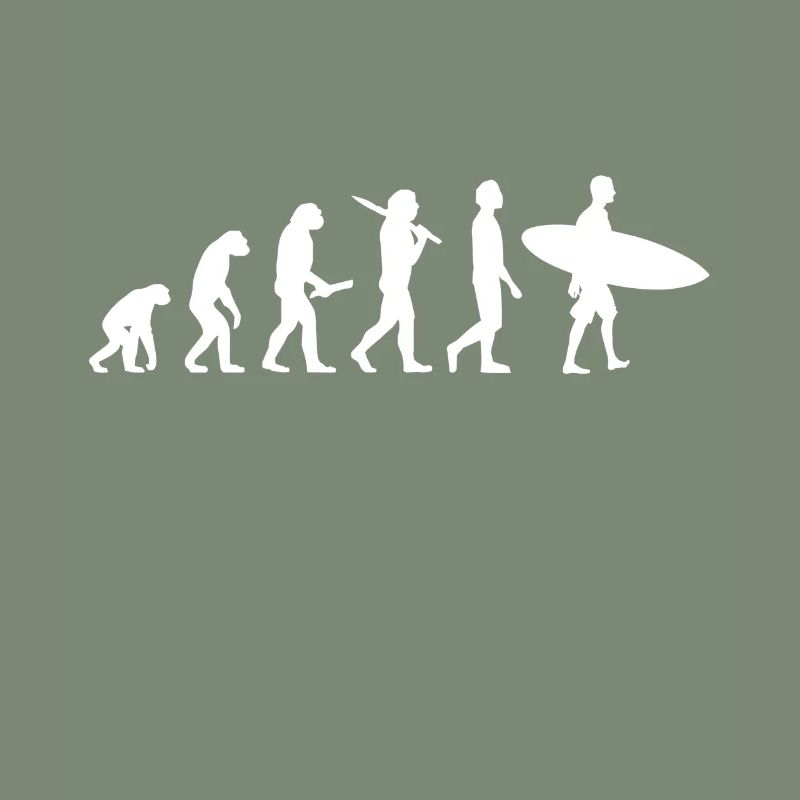 Surfer Surf Evolution