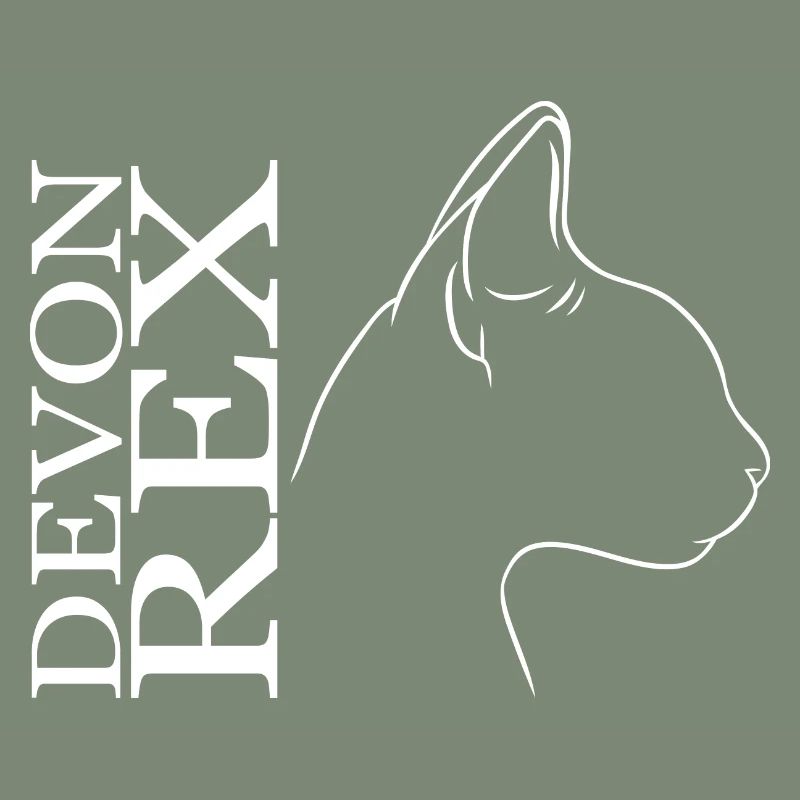 Devon Rex Profil Chat Chat Wilsigns