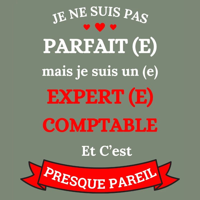 EXPERT(E)-COMPTABLE PARFAIT(E)