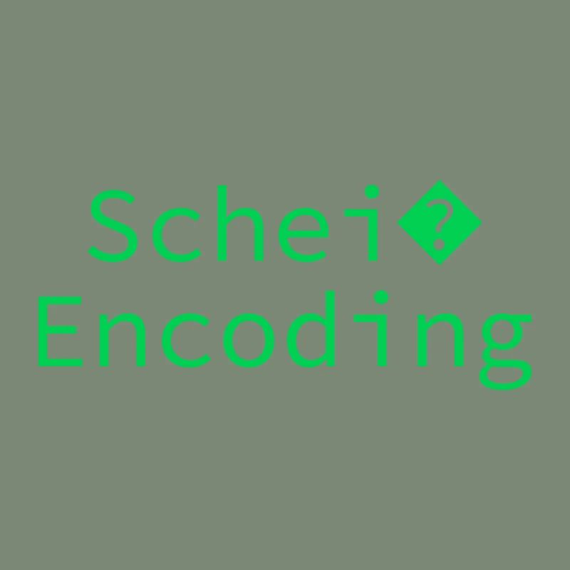 Schei encoding Programming Informatik Geschenk