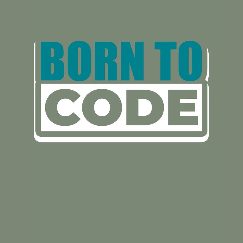 Programmer