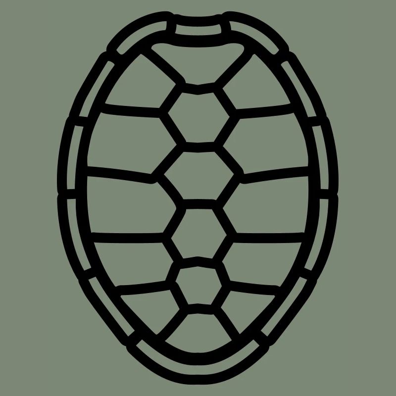 modèle de conception de coquille de tortue de band