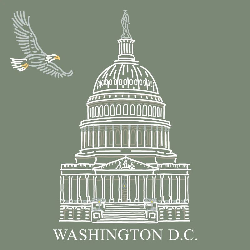 Washington D.C., Capitol Structure, Bald Eagle