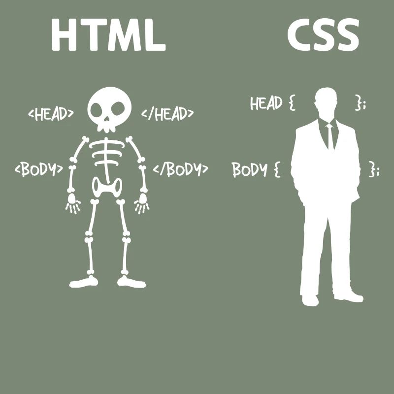 Code Css C++ Php Java Developer Code Skripting