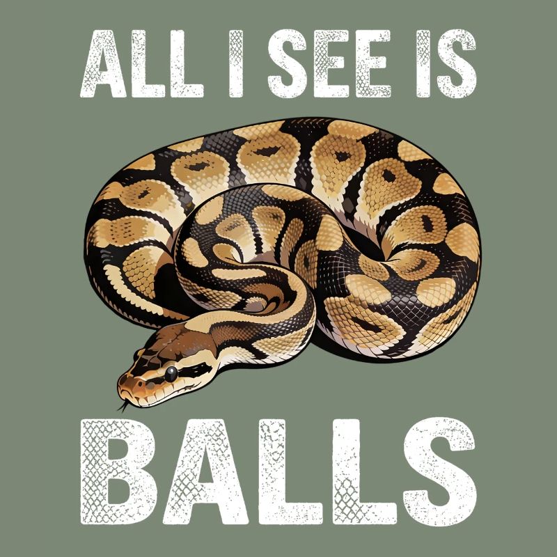 Python roi Serpents Amateurs de terrarium Python