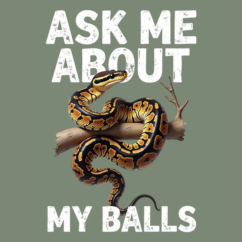 Python roi Serpents Amateurs de terrarium Python