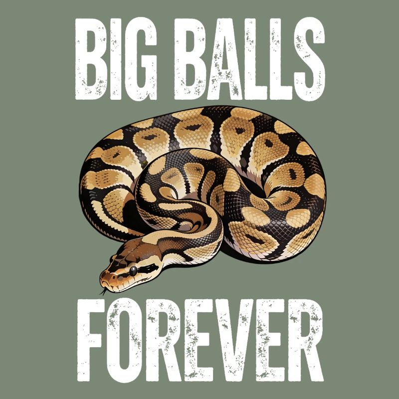 Python roi Serpents Amateurs de terrarium Python