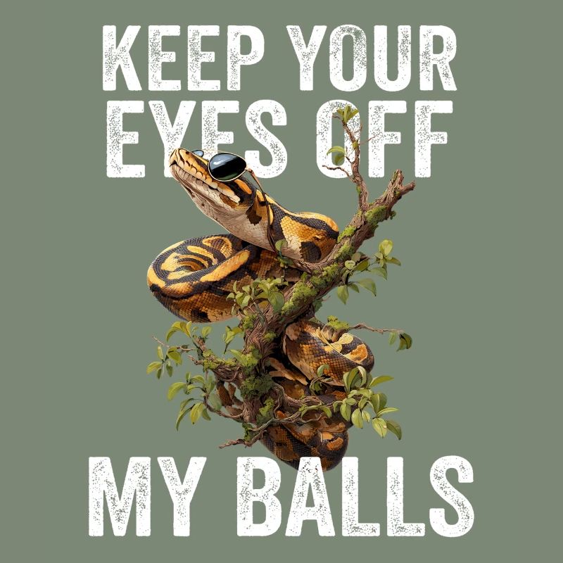 Königspython Schlangen Liebhaber Terrarium Python