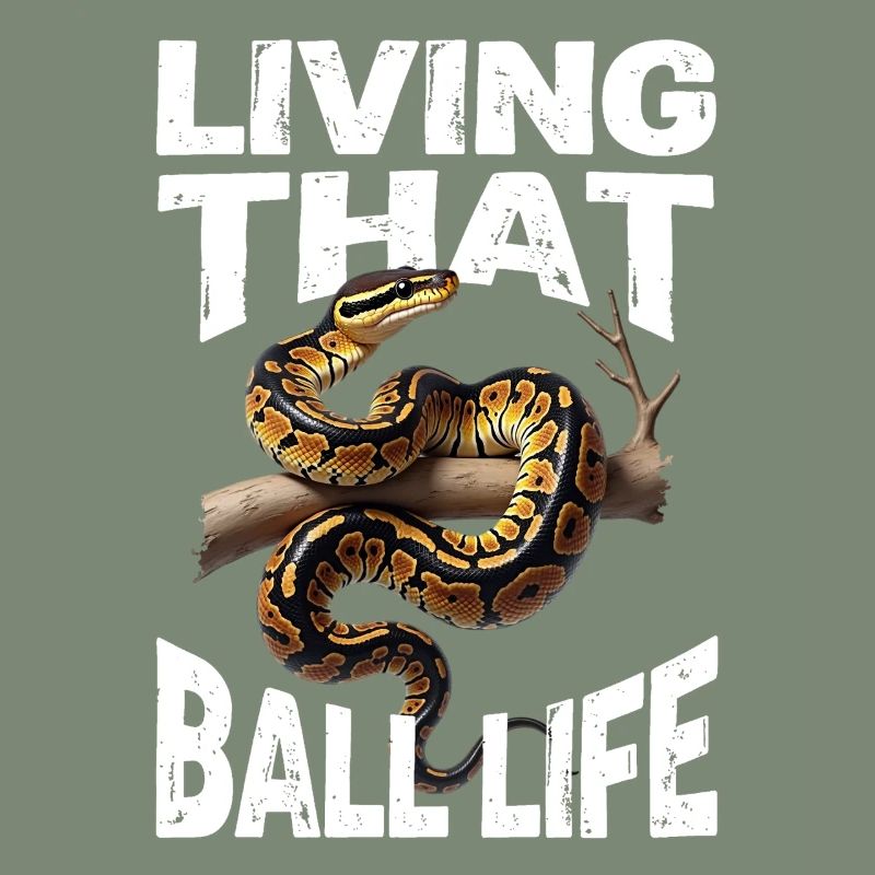 Python roi Serpents Amateurs de terrarium Python