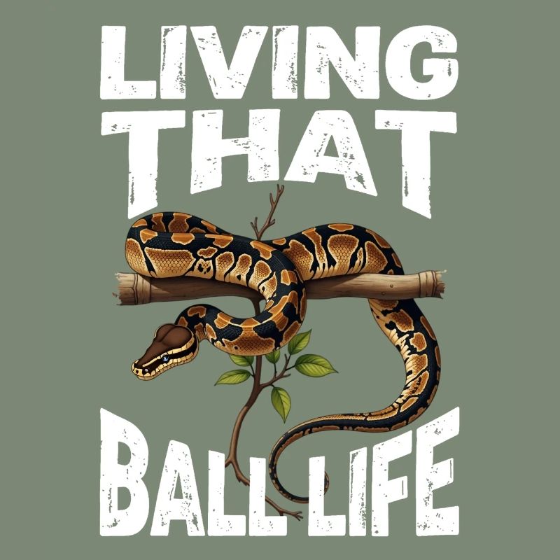 Königspython Schlangen Liebhaber Terrarium Python