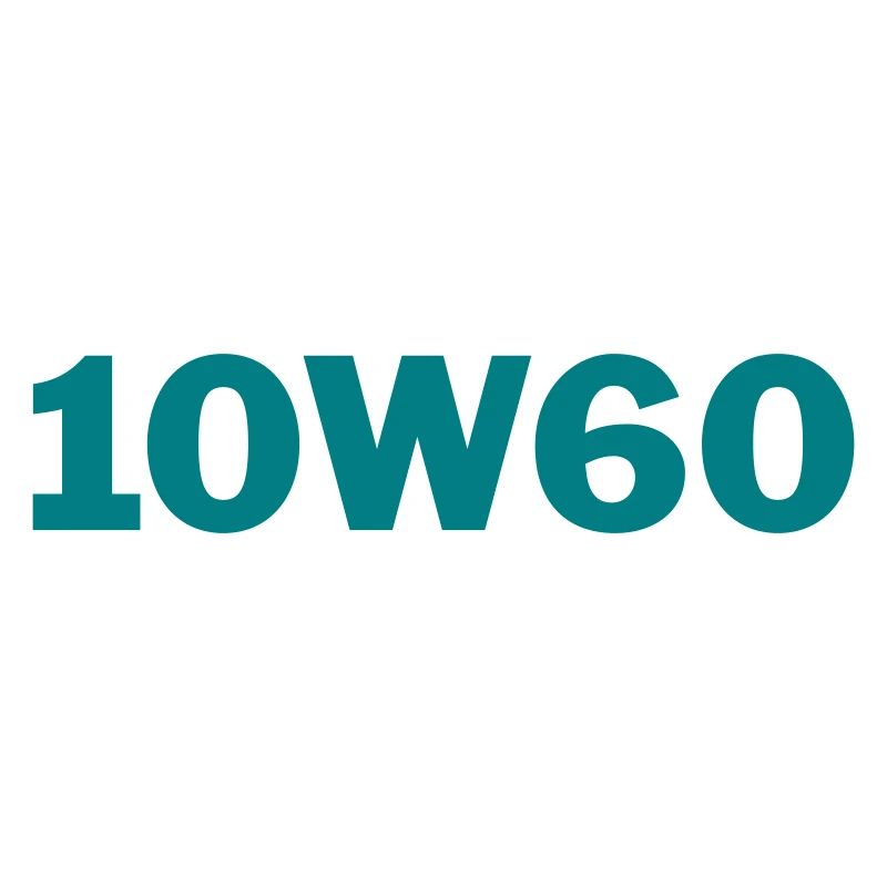 15 10w60
