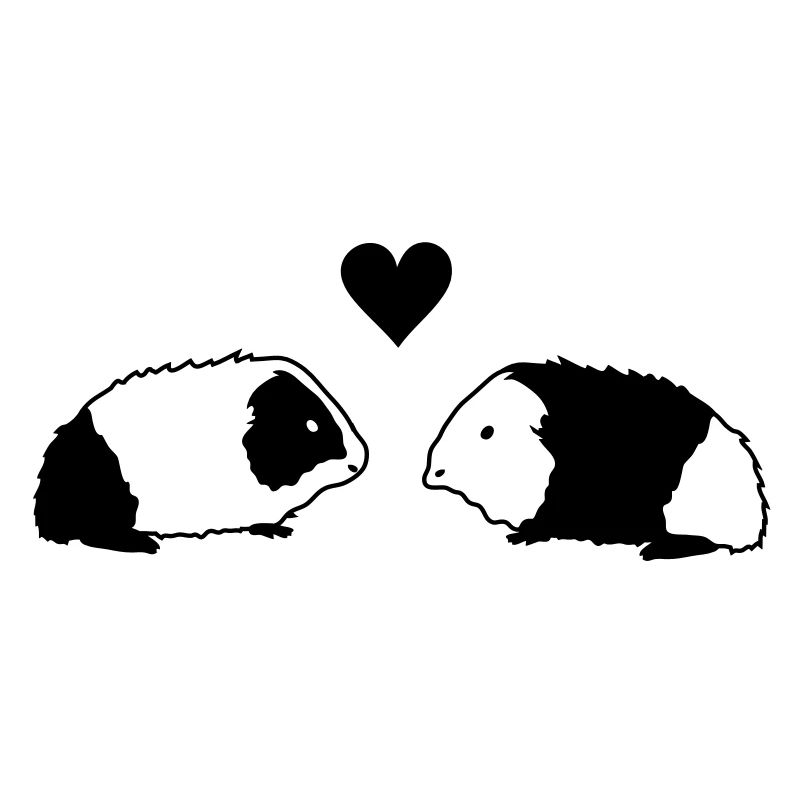 Guinea pig love