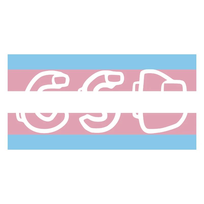 trans pride flag csd
