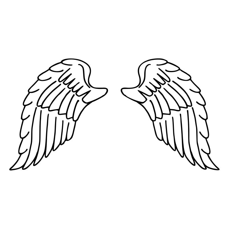Wings