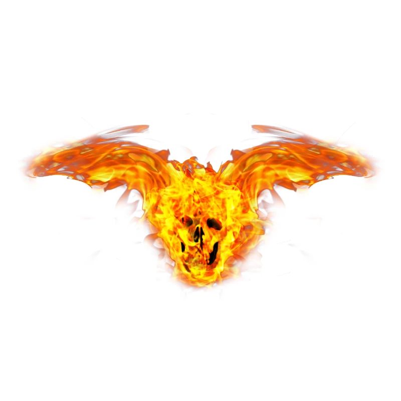 Fire skull