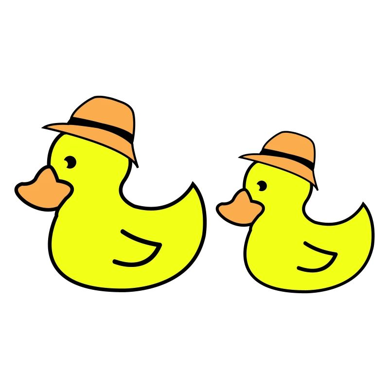 Chapeau de canard
