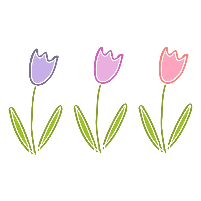 Tulips Flowers