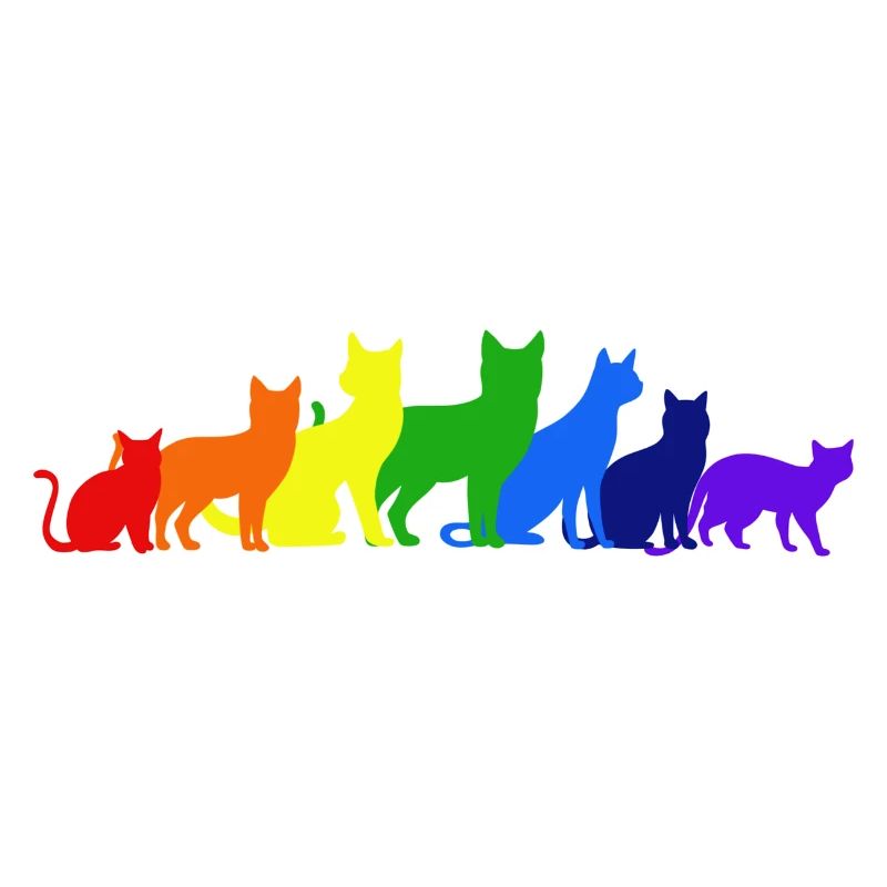 Arc-en-ciel de chats