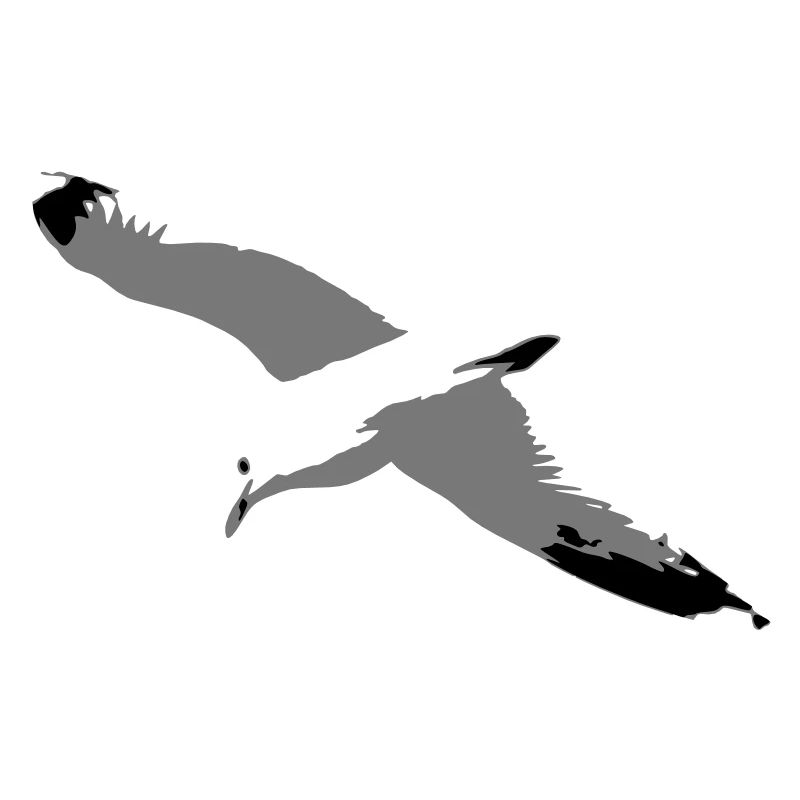 Gull