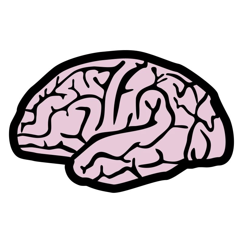 Brain