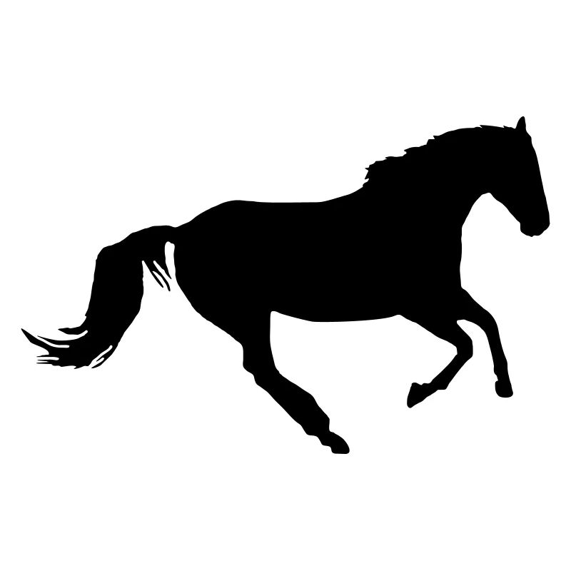 Pferd im Galopp