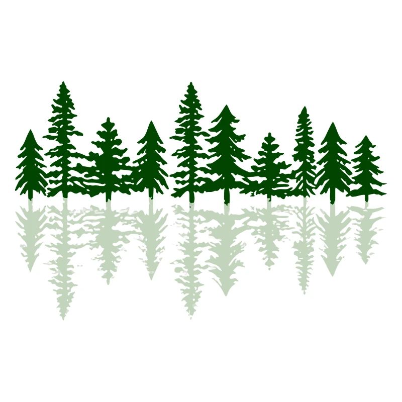 Reflet Forêt de Firs Nature