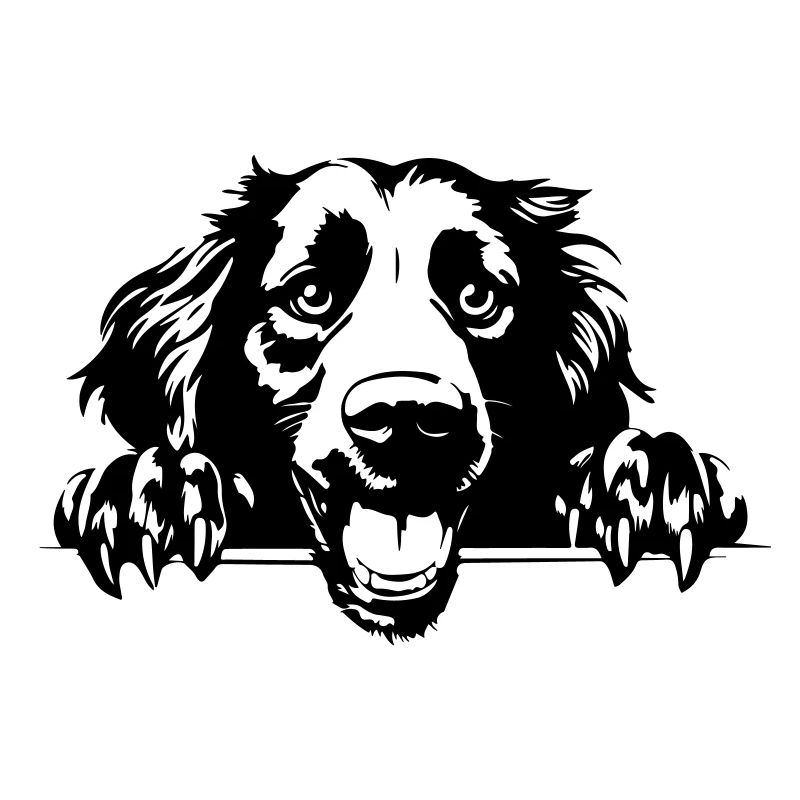 Retriever fidèle