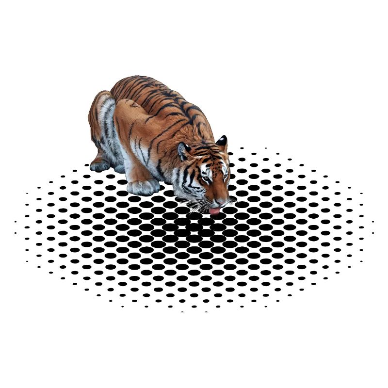 Dotted Tiger