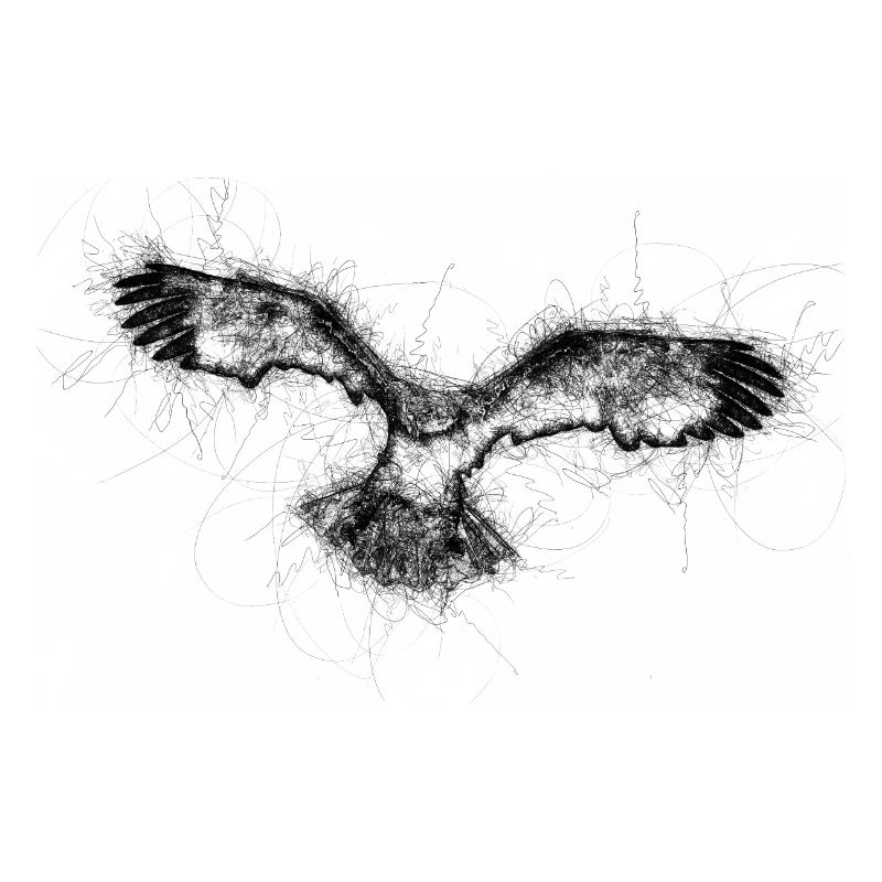 Flying Eagle