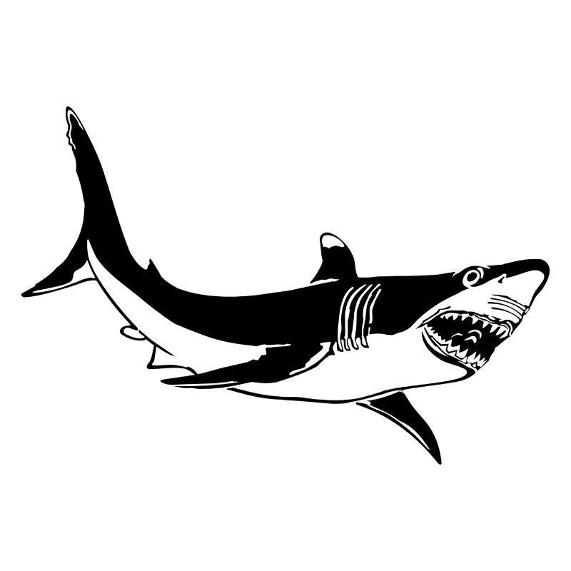 shark