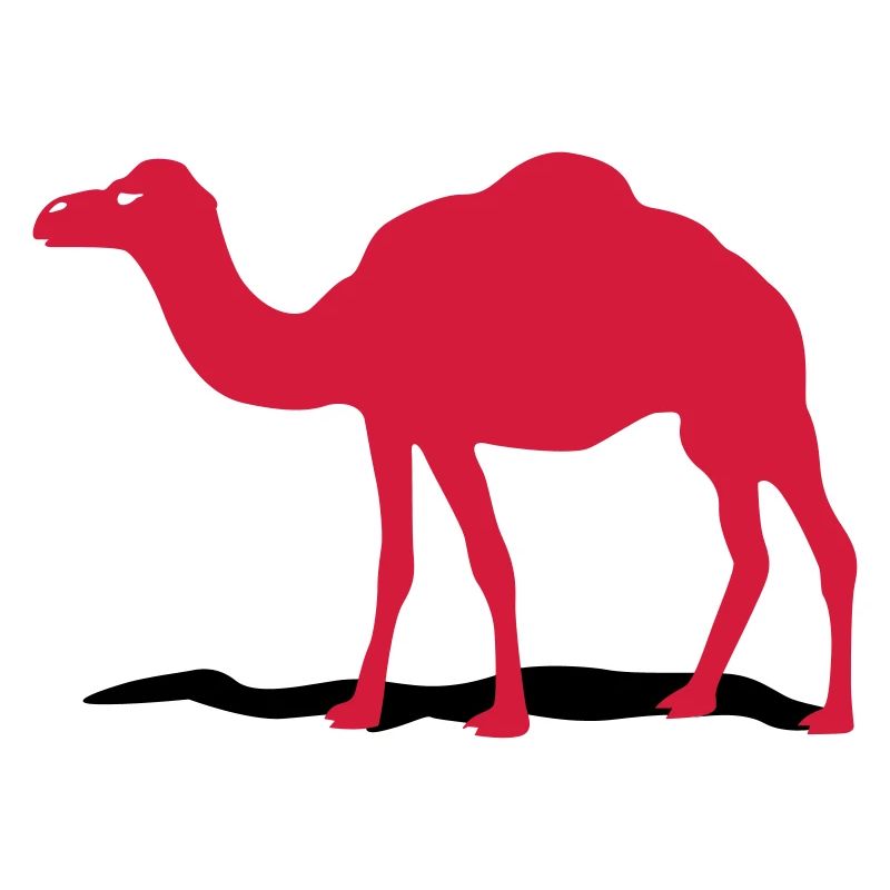 camel