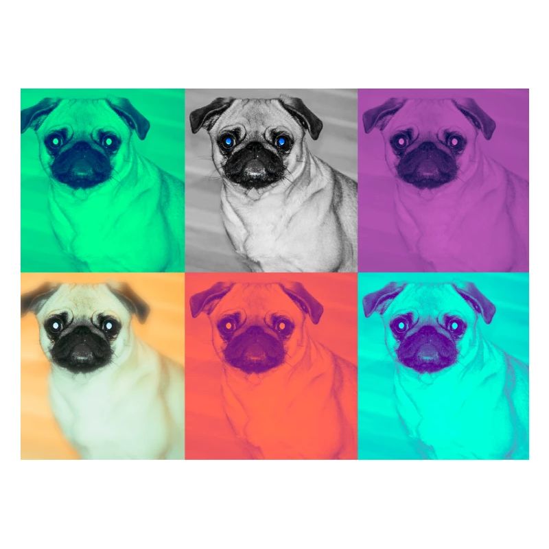 Pop Art Conception de chien