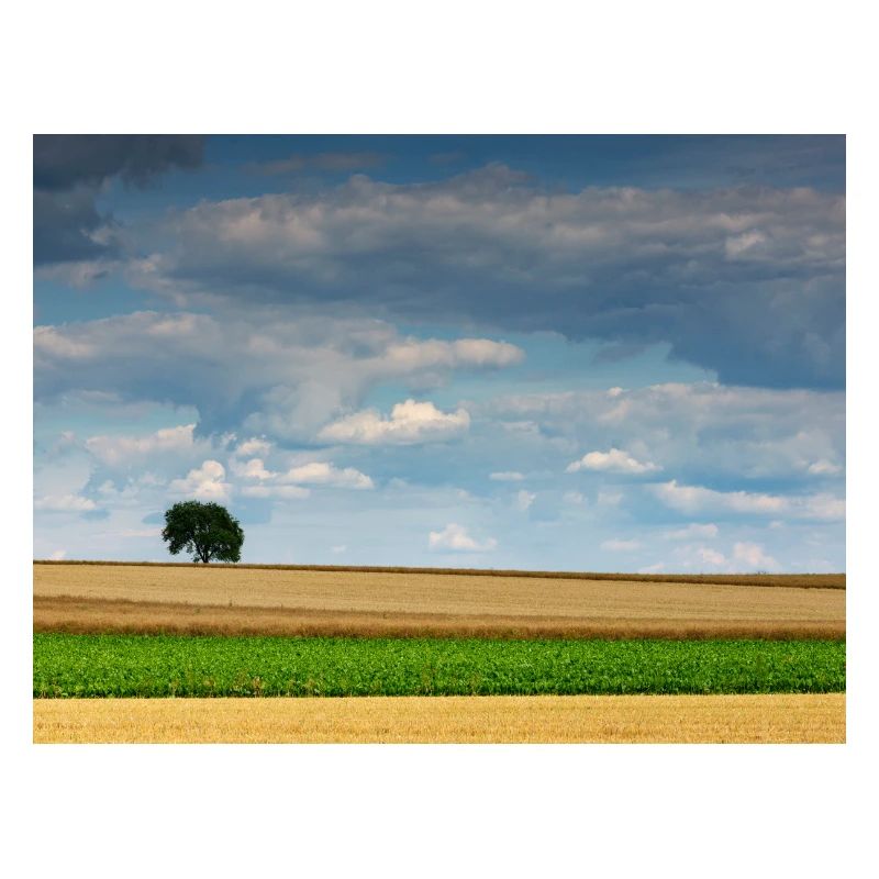 Weitblick