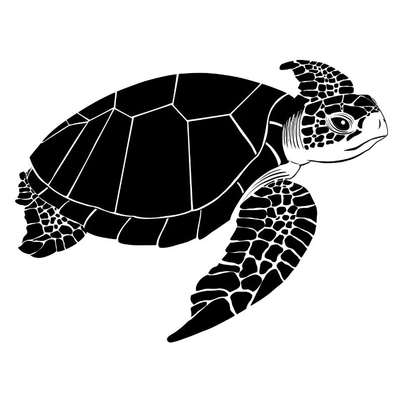 Turtle Black & White