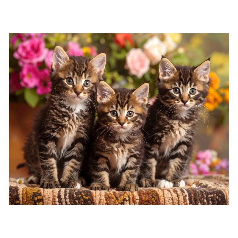 Aimée trio de chatons tachetés en fleurs