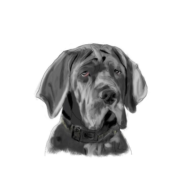 Mastiff