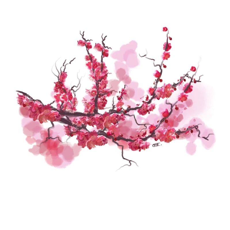sakura