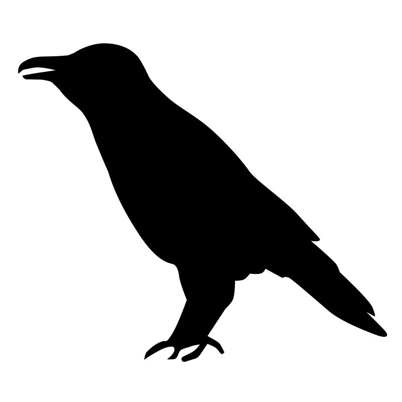 Krähe