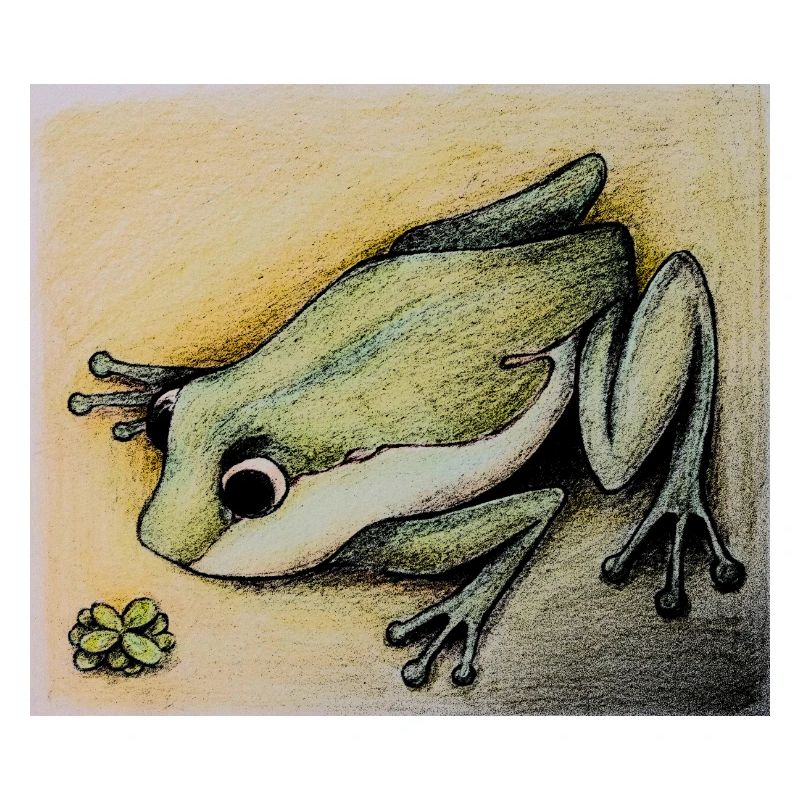 frog