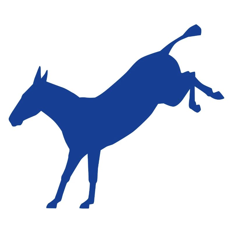 Rebellious Donkey