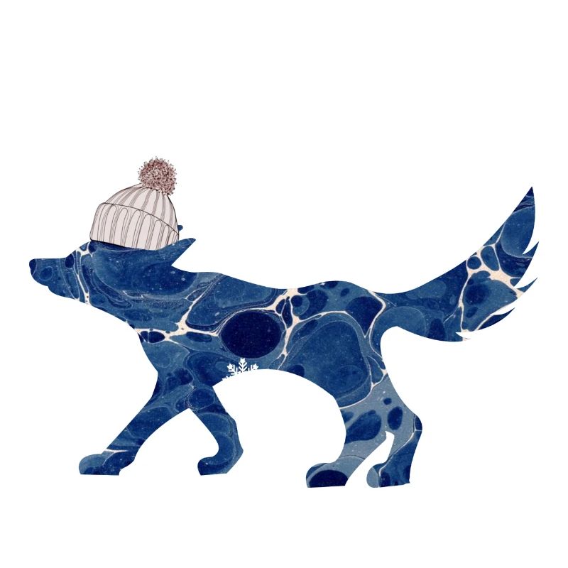 renard avec bonnet e 12