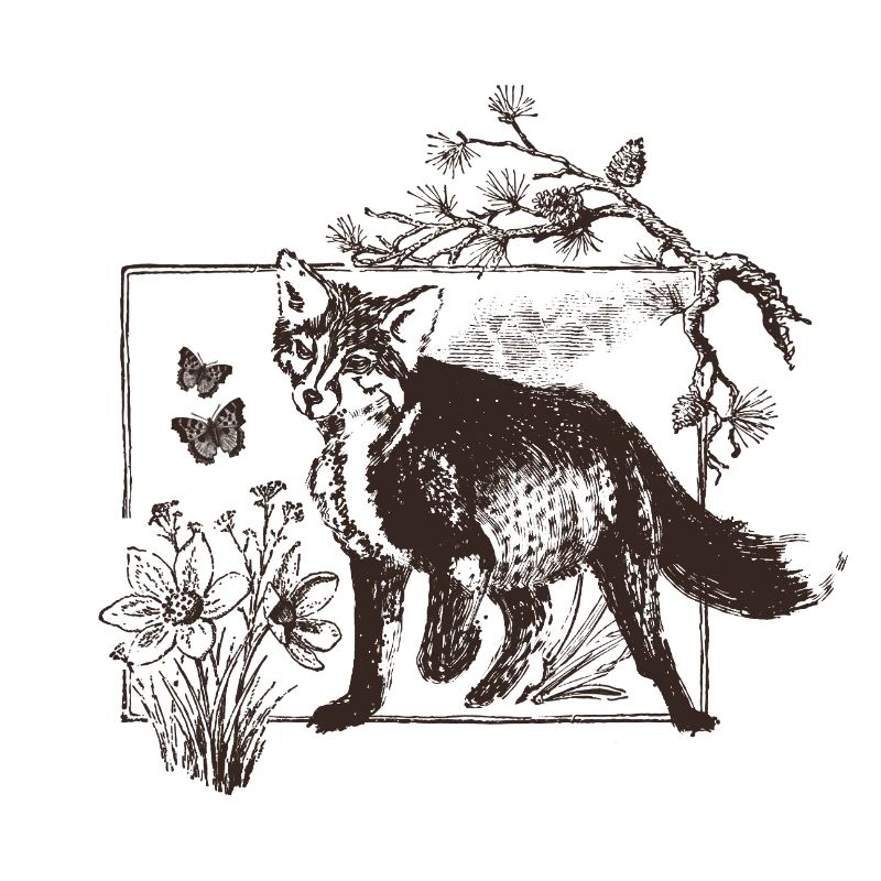 Waldfuchs im Blumenrahmen