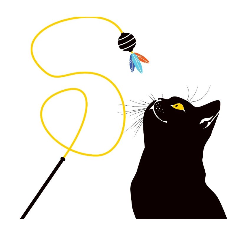 Chat avec canne à pêche jouet