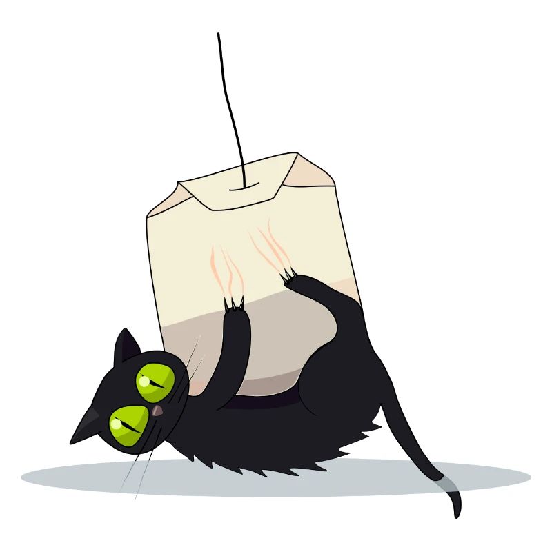 cat on tea bag