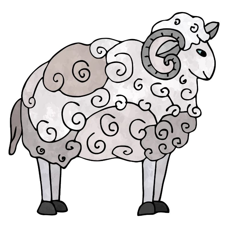 Widder