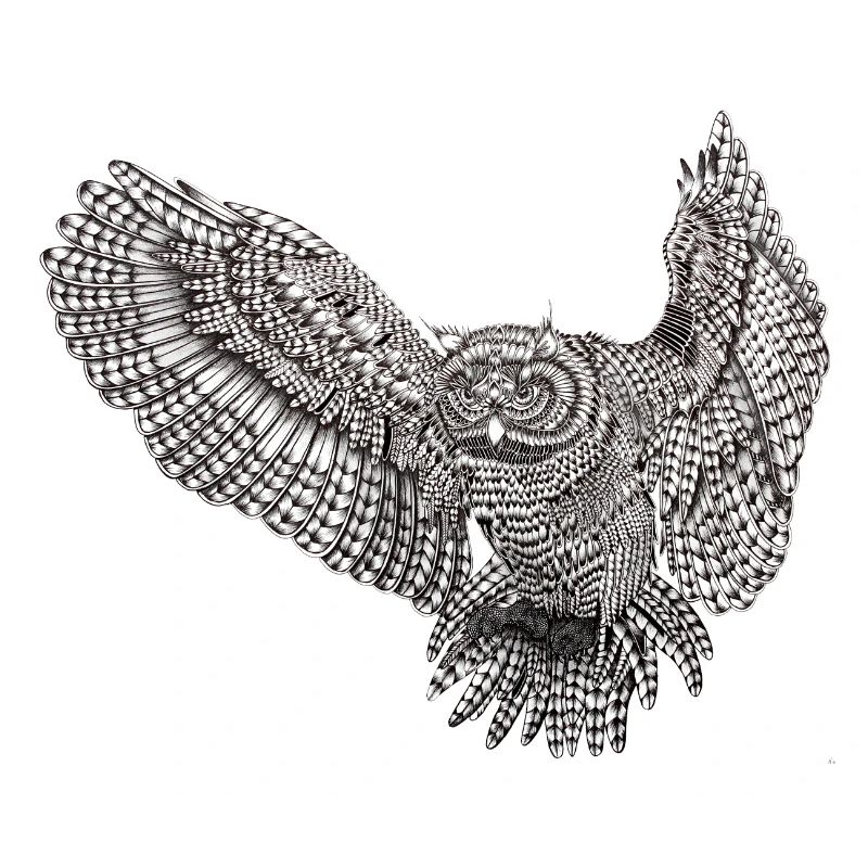 flyingowl