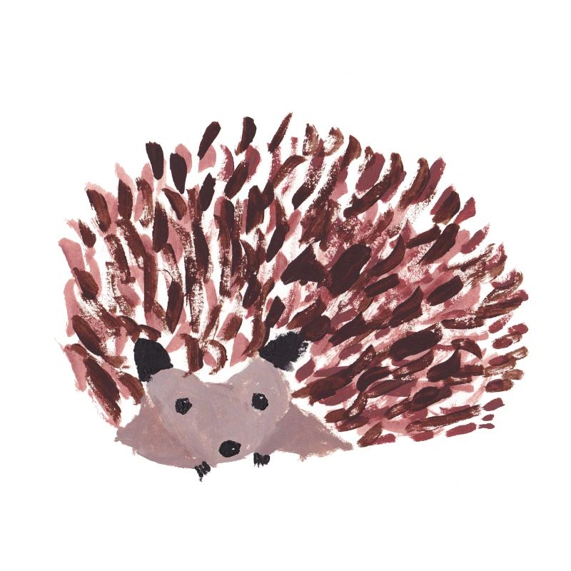 Igel